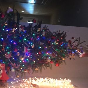 Meet your Posher, Steve